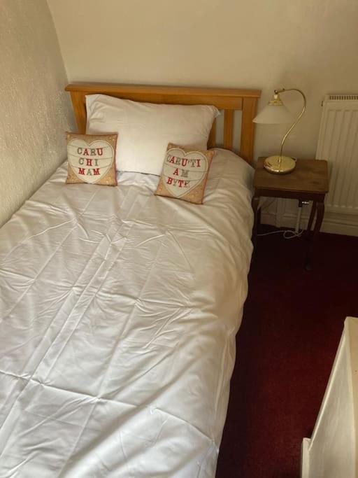 Lovely Peaceful 2 Bed Cottage Llandderfel Eksteriør billede