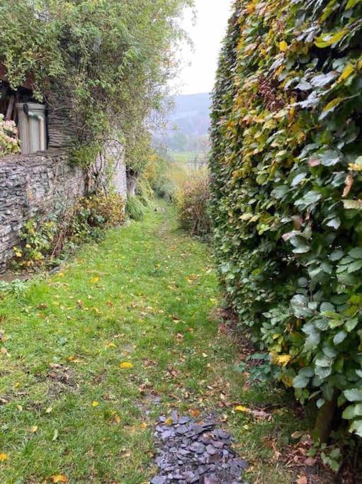 Lovely Peaceful 2 Bed Cottage Llandderfel Eksteriør billede